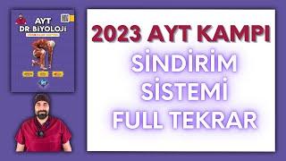 Sindirim Sistemi Genel Tekrar AYT Biyoloji Kampı Konu Anlatımı/ 11.Sınıf 2024 Tayfa