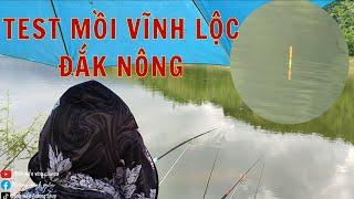 Câu cá tự nhiên bằng mồi VĨNH LỘC ĐẮK NÔNG và cái kết /Fishing today with new bait