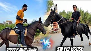 shehr main dihat vs sw pet house horse riding Waeed vs sabtain