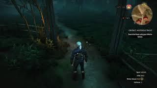 The Witcher 3 - Contract: Mysterious Tracks Missing Chort Lure