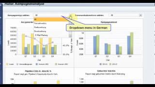 SAP MKT Hist Campaign Analysis Dashboard in German