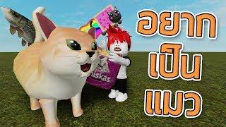 ROBLOX - กูอยากเป็นแมว 