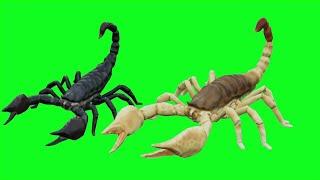 scorpions green screen