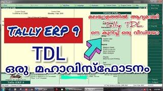 IMPORT STOCK ITEMS FROM EXCEL TO TALLY ERP 9 BY TDL FILE | MALAYALAM