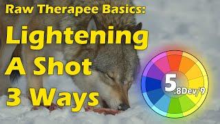 Raw Therapee Basics: 3 Ways to Lighten Images + Simple Noise Reduction Curve Adjustments + Snapshots