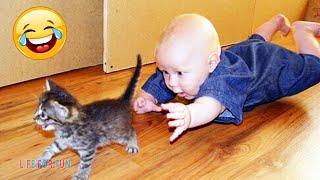 Смешные видео о детях и животных ● приколы с котами и собаками / Funny Baby Playing With Cats