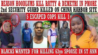 Reason Hoodlums KlLL Ratty & Demetri + 2nd Sec Guard KlLLED On CHEC Site + Blacks KlLL 63yo Dimple