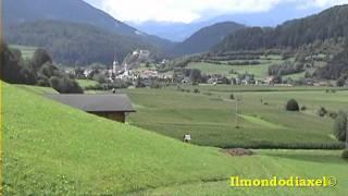 Sentiero nel bosco di Brunico (Bz) e Cimitero dei caduti