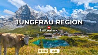 Jungfrau Region, SwitzerlandGorgeous Hike With Alpine Peaks, Cows and Trains in 4K HDR