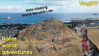 Nala climbing NORTH BERWICK LAW ️ Vlog #97