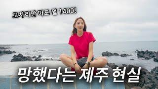 최악의 물가와 다 떠난다는 제주살이의 반전 현실을 보여드릴게요