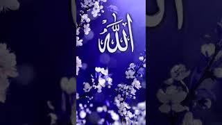 beautiful Islamic Tik Tok Video #tiktok #youtubeshorts #islamicstatus #shorts #short