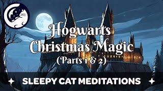 Hogwarts Christmas Magic (2 Hour) Guided Sleep Story inspired by Harry Potter (Parts 1 & 2)