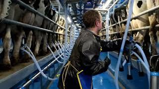 Efficient Milking in the Kingdom: 30-Unit Dairymaster Swiftflo Fast Exit