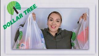 Dollar Tree Haul! I found so many Great Things! | Irmita Santos