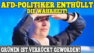 AfD-Politiker ENTHÜLLT DIE WAHRHEIT! Grünen ist VERRÜCKT geworden!