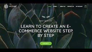 Create E-Commerce Website - 2020 | Step by Step | WordPress, Astra, Elementor, Woo Commerce, AWS