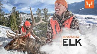 MeatEater Season 12 | Montana Elk