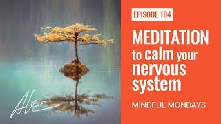 Meditation to calm your nervous system | Everyday Alex 104 | Mindful Monday