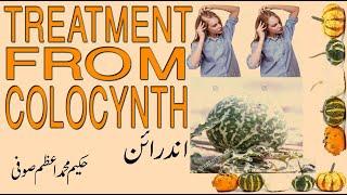 Treatment From colocynth | اندرائن سے علاج | COLOCYNTH.