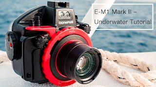 OM-D E-M1 Mark II Tutorial | Best overview with the Live Super Control Panel