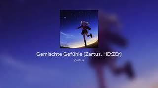 Gemischte Gefühle ( @HEtZErOfficial Cover By. Zartus)