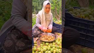 Walnut Harvesting | My Village Life | Best Vlogs | Short