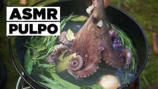 Whole squid grilled in the forest - ASMR Outdoor cooking