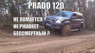  ОБЗОР TOYOTA LAND CRUISER PRADO 120 3.0 TD | НЕ ТАКОЙ ОН И БЕССМЕРТНЫЙ