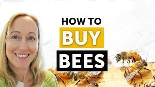 BEEKEEPING 101: HOW TO BUY BEES