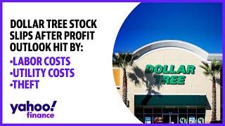 Dollar Tree stock slips after profit outlook hit by labor and utility costs, theft