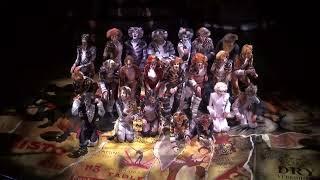 Cats The Musical Full Show - Oasis of the Seas - Cast 1 - 2014