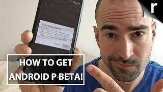 Android P Beta: How to download to your smartphone