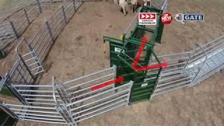 Q-Gate | 2-Way Cattle Diversion | Cattle Equipment | Arrowquip