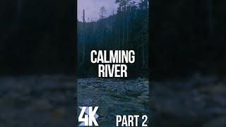 Evening Ambience of Calming Forest Stream for Vertical Screens - 4K South Fork Snoqualmie River - #2