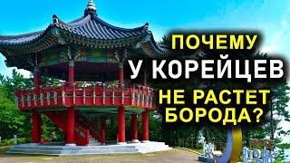 ПОЧЕМУ У КОРЕЙЦЕВ НЕ РАСТЕТ БОРОДА