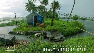 Refreshing walk in heavy rain on the backwaters of Kerala | ASMR rain sounds for deep relaxing sleep