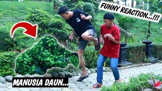 KOCAK !! MANUSIA DAUN BIKIN PANIK  BUSHMAN PRANK