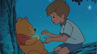 My fuckin' favorite Pooh moment (Read Description)