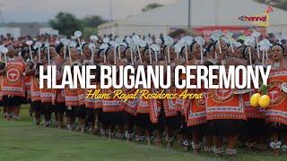 Hlane Buganu (Marula) Ceremony DAY 3 •  Live from the Hlane Royal Residence arena  • 09 March 2025