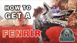 How to get a Fenrir Tame ► Ark Fjordur