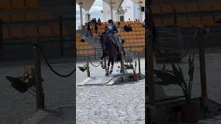 Working Equitation  Endiabrado & Lara Carreira 2024 Alter Real #equestrian #horse #horselover