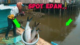 EDAN,,‼️ TERMOS IKAN SAMPAI GAK MUAT || SPOT MUARA SELILI MANGGAR BALIKPAPAN