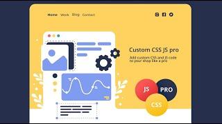 Custom CSS and JavaScript pro plugin for PrestaShop