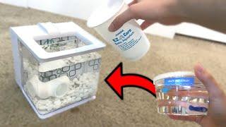 *EASY* BETTA Fish TANK AQUARIUM SETUP TEST! (does it work?)