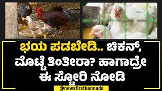 Bird Flu : ಭಯ ಪಡಬೇಡಿ.. ಚಿಕನ್, ಮೊಟ್ಟೆ ತಿಂತೀರಾ? ಹಾಗಾದ್ರೇ ಈ ಸ್ಟೋರಿ ನೋಡಿ | NewsFirst Special