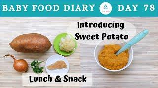 Baby Food Diary | Day 78 | Sweet Potato Recipe For Baby | 7m+