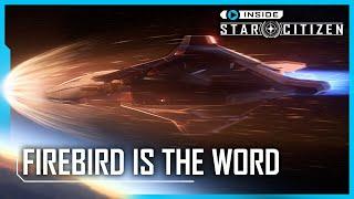 Inside Star Citizen: Firebird Is The Word