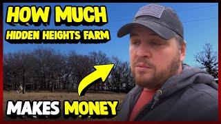 How Much Hidden Heights Farm Makes Money On YouTube 2024