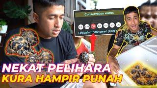 AKHIRNYA PELIHARA KURA-KURA SUPER LANGKA HAMPIR PUN4H!!